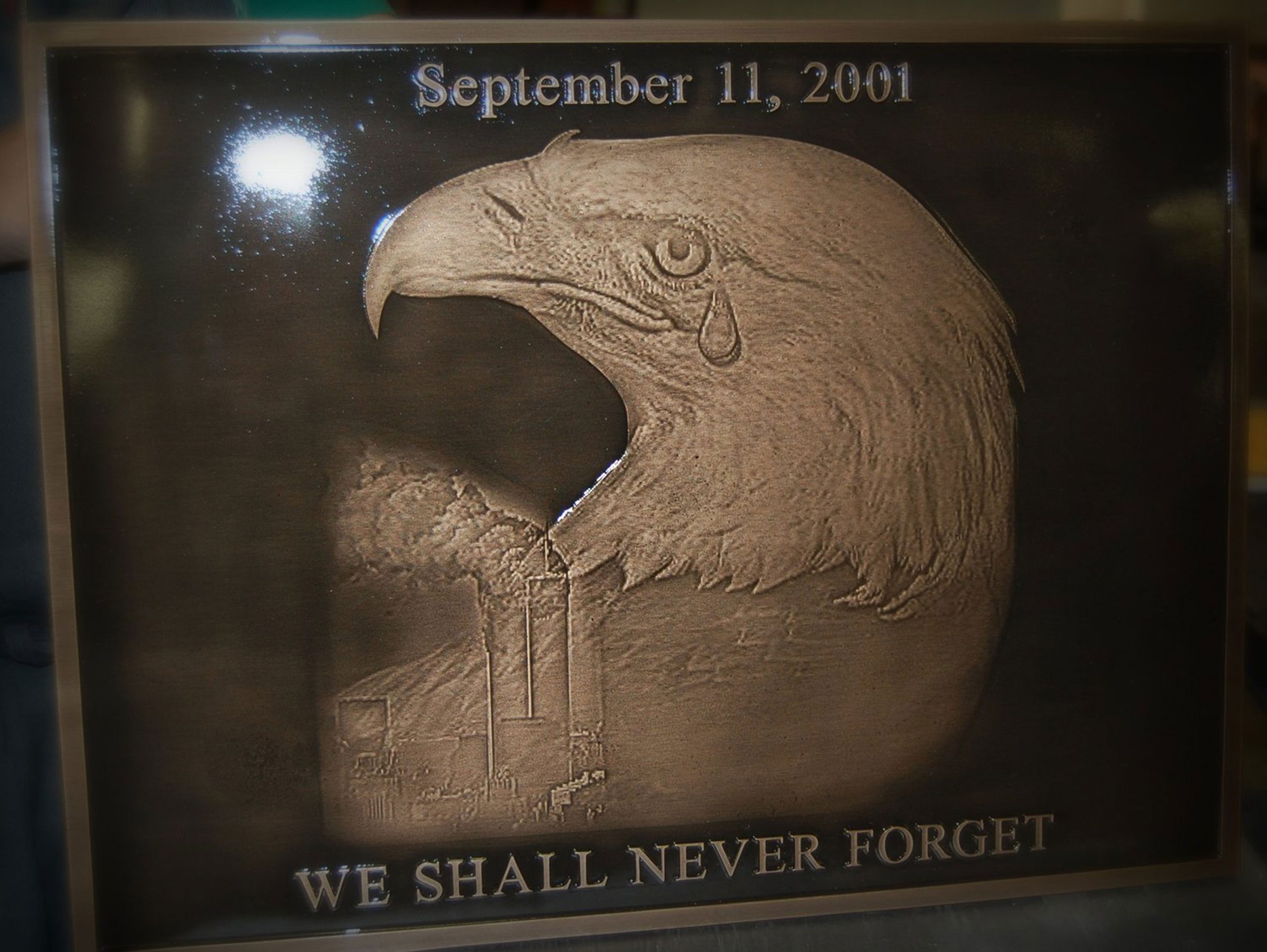 3d sculpted american eagle bas-relief cast bronze eagle